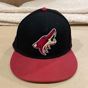 NHL Arizona Coyotes Fitted Hat